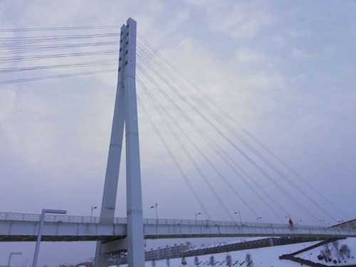 В Тюменской области прогнозируют сильный снегопад и ветер до 17 м/с