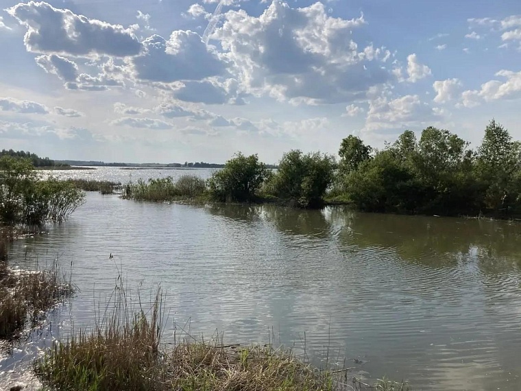 Тюменцев приглашают принять участие в акции "Вода России"