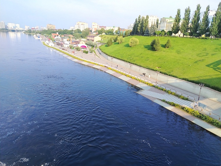 Росрыболовство назвало причину массовой гибели рыбы в Туре