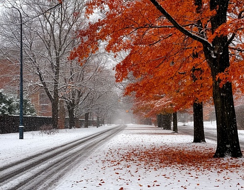 Народные приметы на 14 ноября: снежный день - к большому разливу весной