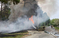 За сутки в Тюменской области ликвидировано 11 природных пожаров