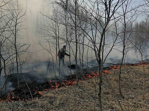За прошлые сутки в Тюменской области возникло два новых природных пожара