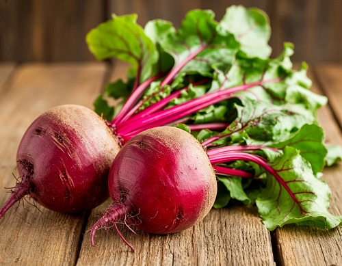 Народные приметы на 1 сентября: на Феклу именинница свекла