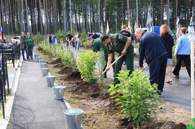 На Аллее славы Червишевского кладбища высадили 65 саженцев в годовщину смерти командира СВО