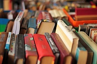 Книжный фестиваль обрел постоянную прописку в Тобольске