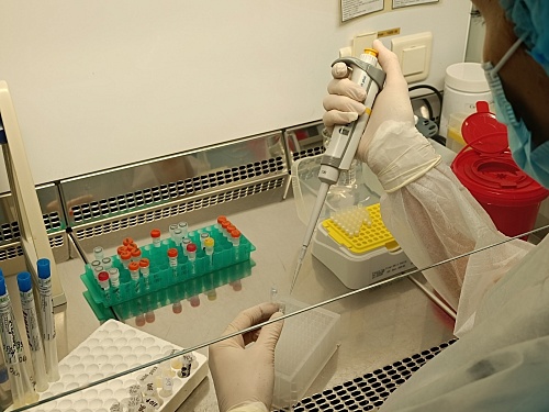 «Не ждите новой трагедии»: эксперты напоминают о смертельной опасности бешенства после гибели ребенка в Омской области