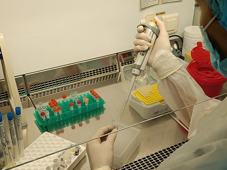 «Не ждите новой трагедии»: эксперты напоминают о смертельной опасности бешенства после гибели ребенка в Омской области