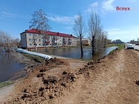 Житель поселка Плодопитомник: Собаки с затопленных дач спасались вплавь