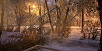 Из-за майского снегопада в Тюмени падают деревья