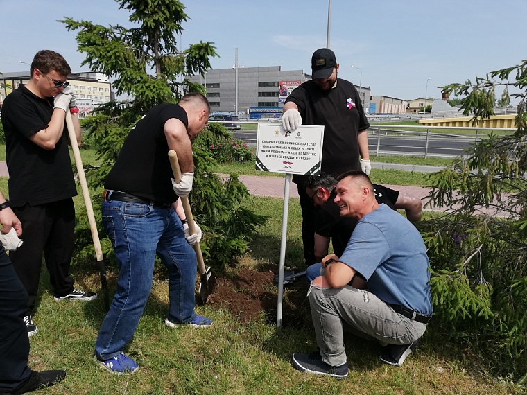 В День России в Тюмени высадили символичную аллею