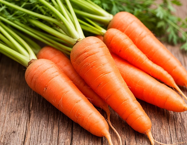 Тюменским дачникам рассказали, как избежать растрескивания моркови при сборе урожая