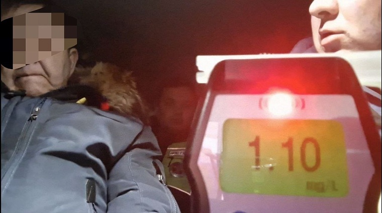 За два морозных дня тюменские автоинспекторы задержали 20 пьяных водителей