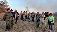 Тюменские пожарные поблагодарили волонтёров за помощь в борьбе с огнем