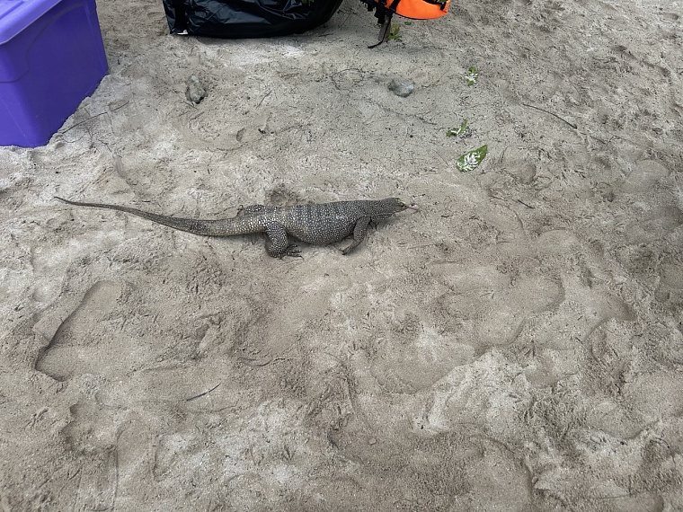 Тропики по цене Сочи: как отдохнуть на Пхукете и не пожалеть об этом