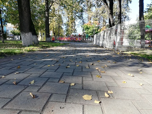 В Тюменской области прогнозируют заморозки в начале следующей недели