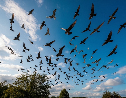 Народные приметы на 30 сентября: Вселенские бабьи именины выдавались теплыми и ясными