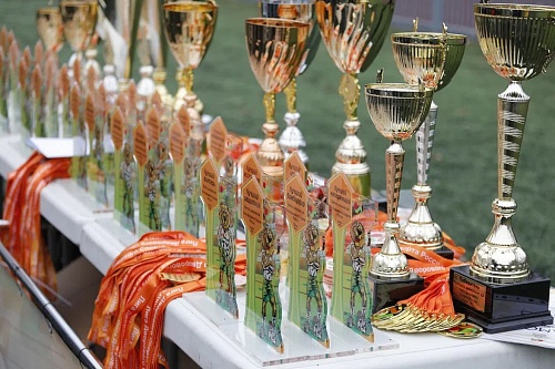 В Тюмени подвели итоги летнего сезона Лиги дворового спорта России