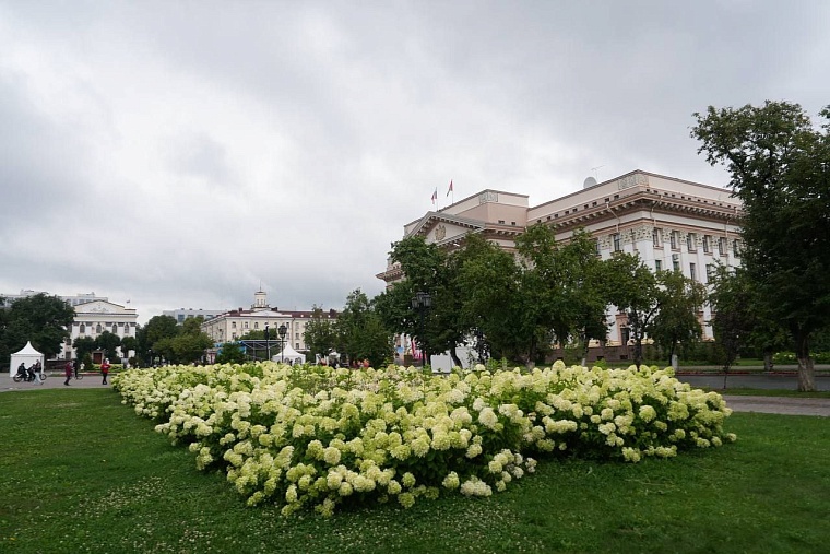 Специалист рассказал об особенностях и проблемах в озеленении Тюмени