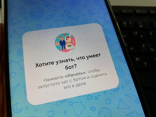 В Тюмени определили самые популярные региональные чат-боты в МАКС
