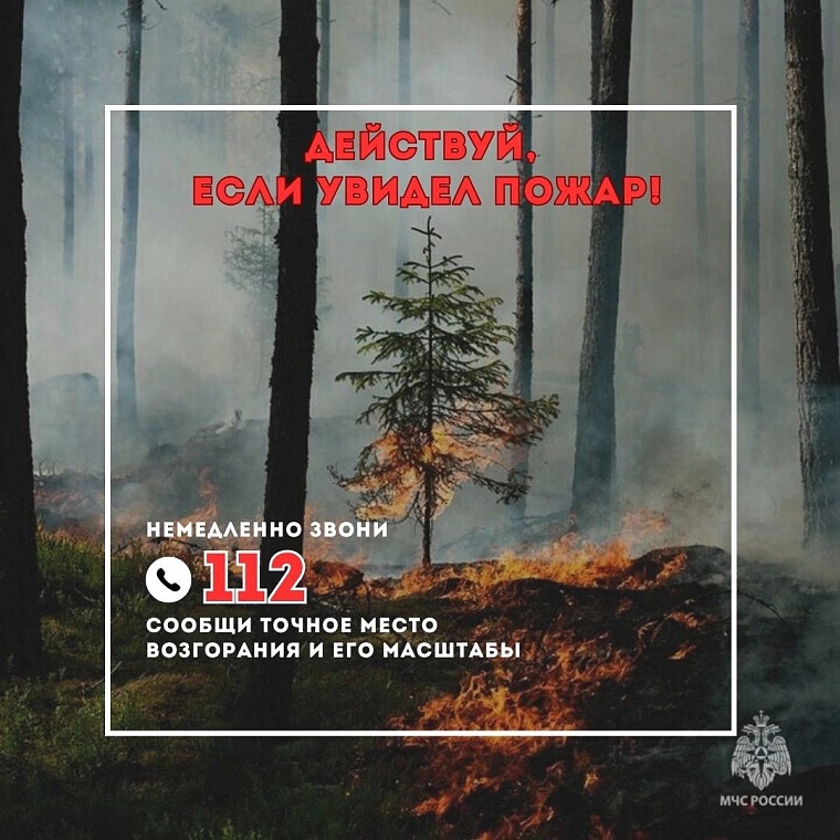 В Тюменской области 16 человек оштрафовали за нарушения требований пожарной безопасности