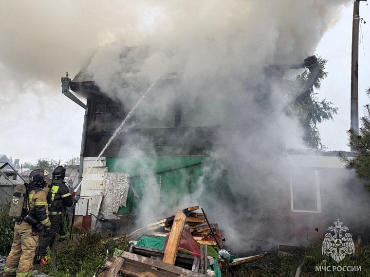 Во время утреннего пожара в тюменском СНТ погиб человек