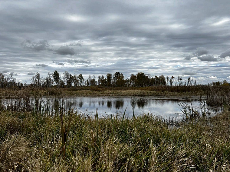 В Ишиме выясняют обстоятельства смерти утонувшей в реке женщины