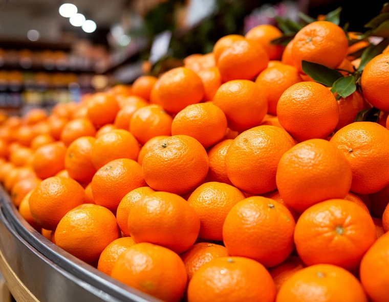 Фото сгенерировано ИИ