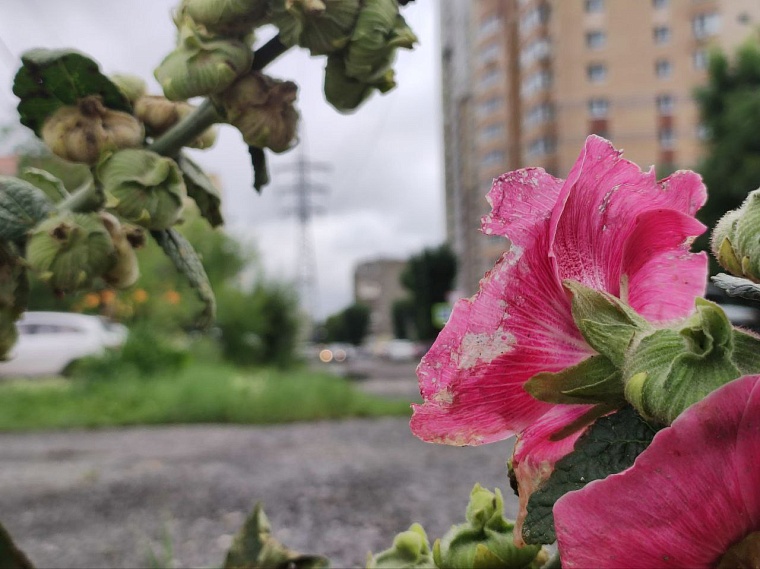 Смута, продовольствие и буерак: о чем еще напомнит улица Болотникова в Тюмени