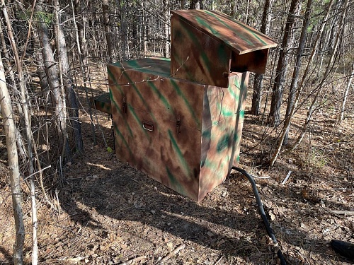 Тюменские энергетики обнаружили в лесу мобильную майнинг-ферму