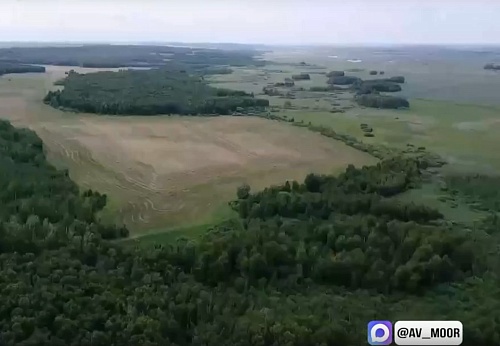 Александр Моор рассказал об уникальности памятника Марьино ущелье в Исетском округе