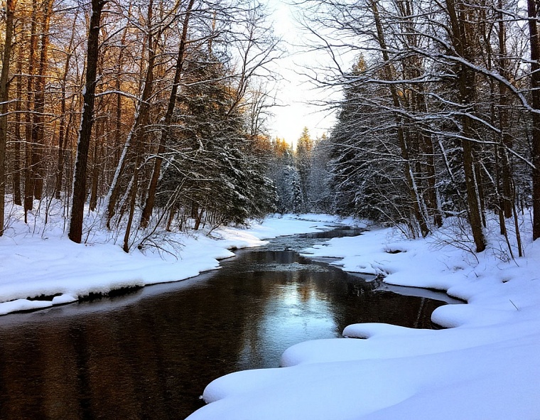 Народные приметы на 29 ноября: на Матвея зима потеет, в белой шубе явилась, на ноябрь понадеялась