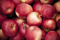 Как сохранить яблоки в домашних условиях