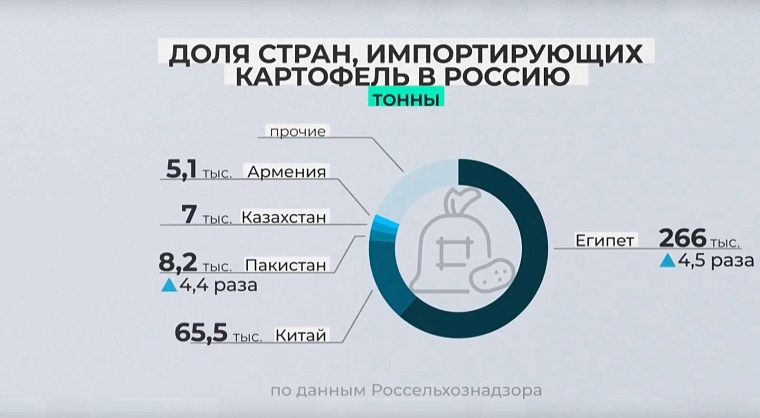 Почему в Тюмени взлетели цены на картошку, и зачем нам заморский овощ
