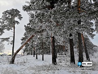 Александр Моор представил фото тюменских красот, завершающие первый этап конкурса