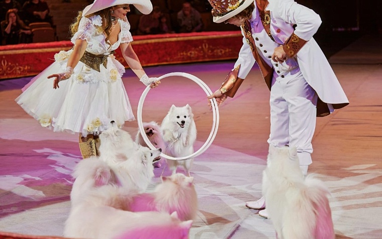 Обновленная «Империя львиц» в тюменском цирке прошла с аншлагом