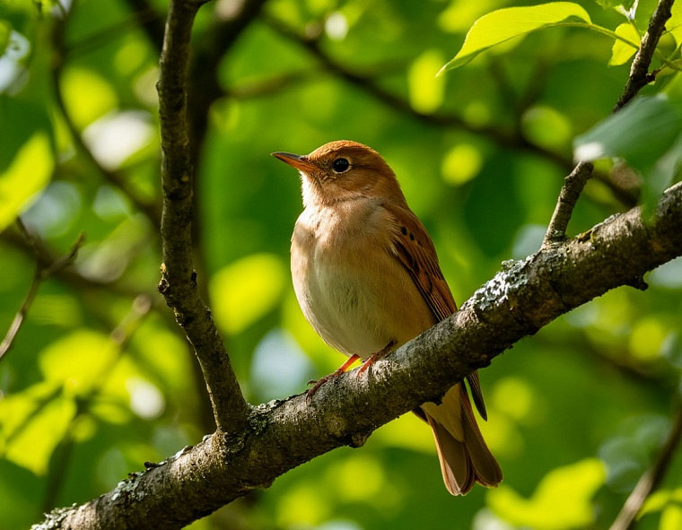 Картинка сгенерирована ИИ