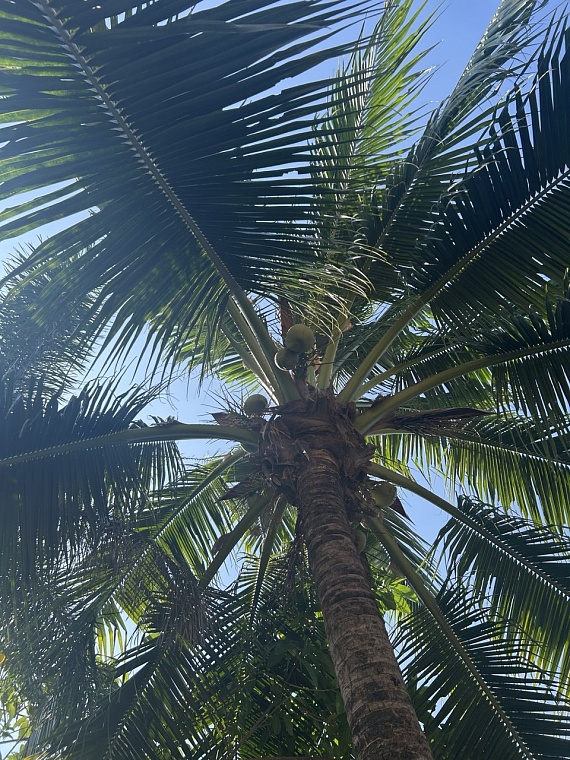 Тропики по цене Сочи: как отдохнуть на Пхукете и не пожалеть об этом