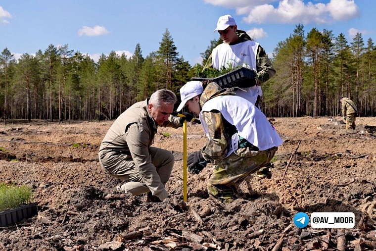 Александр Моор: «Сад памяти» - это наша благодарность поколению победителей