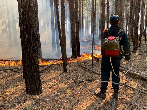 В Тюменской области действуют 14 природных пожаров, в Вагае огонь дошел до строений