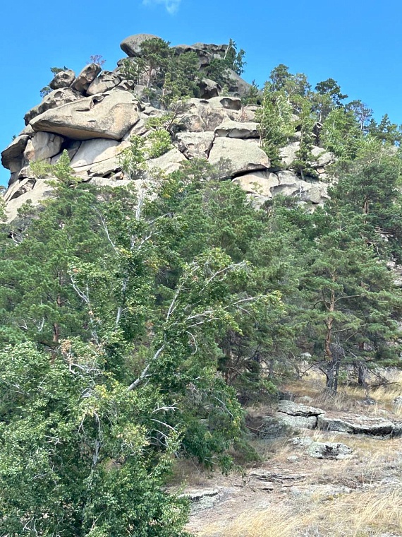 Поездка в Казахстан: низкие цены, дешевый сервис, красивая природа и стремительный банкинг