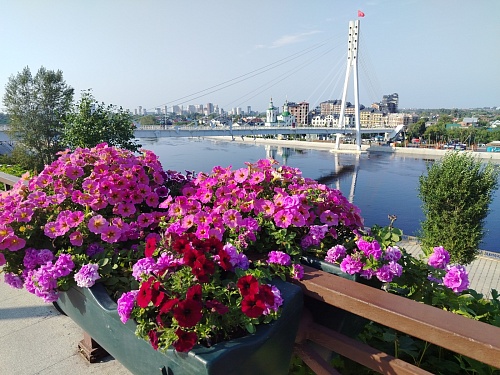 Уровень Туры к утру 10 августа снизился до 862 см