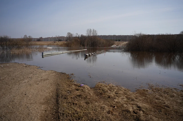 В Тюменской области перекрыли два низководных моста