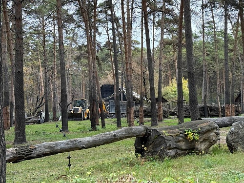 Пять животных погибли в пожаре в Новосибирском зоопарке