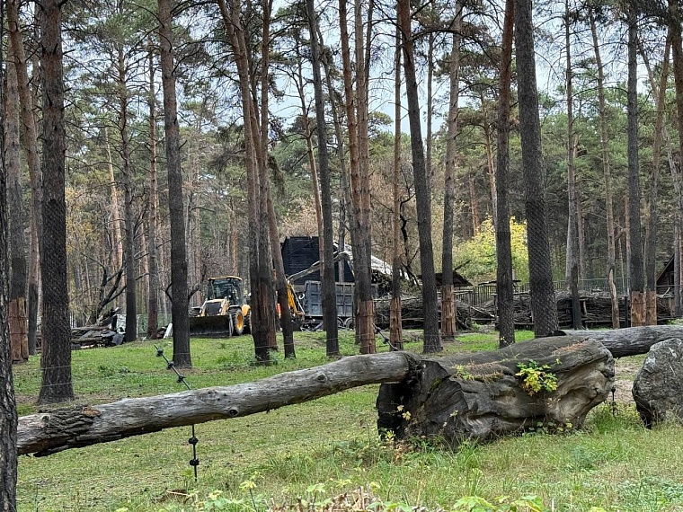Пять животных погибли в пожаре в Новосибирском зоопарке