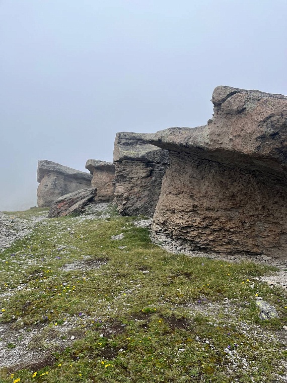А в очертаниях трещин можно рассмотреть голубя...