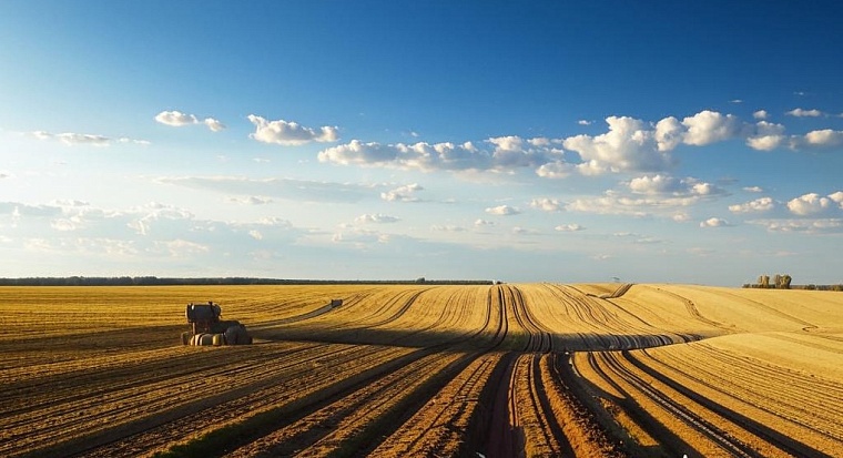 Народные приметы на 20 мая: ветры восточные и западные для посева лучше всего