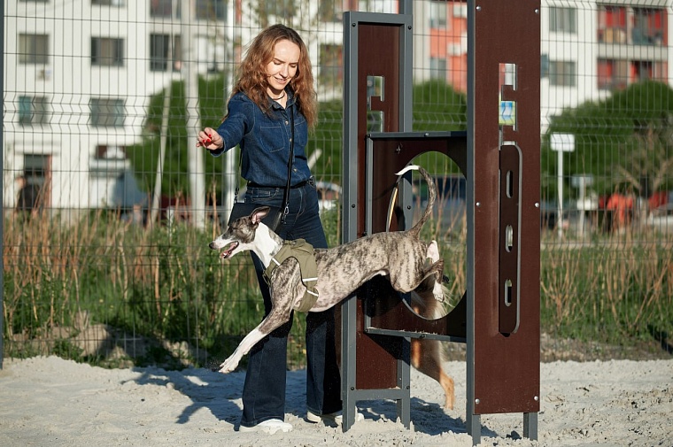 У Тихого озера в Тюмени обустроили площадку для дрессировки собак