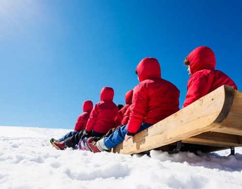 Всероссийский фестиваль санок в этом году начнется с Красноярска, а к зиме придет на Урал