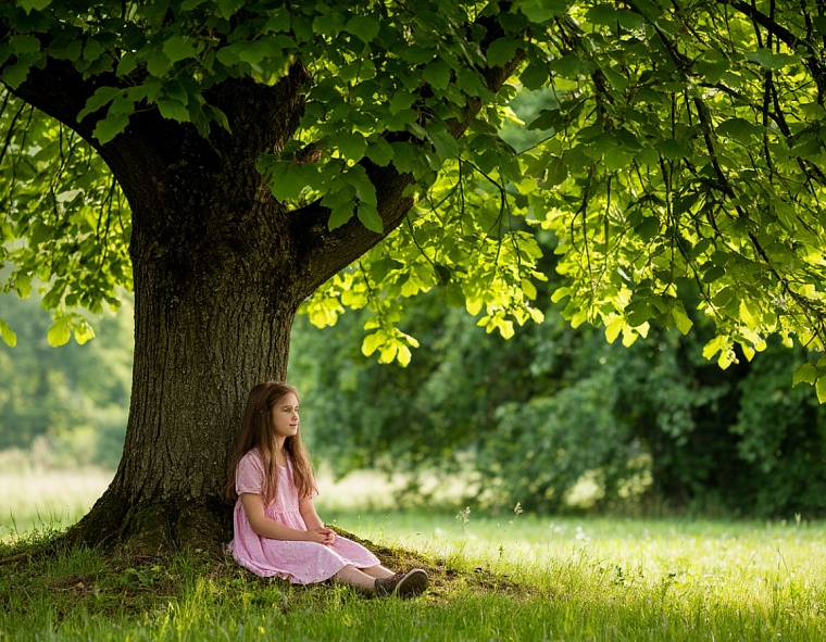 Народные приметы на 4 июля: какие свойства приписывали липе