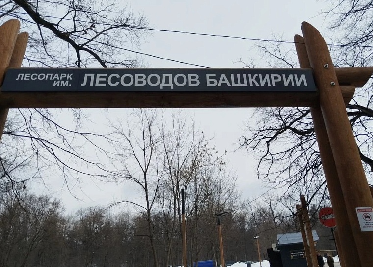 Моя Уфа: исчезнувший Салават, горы грязного снега и добрые люди